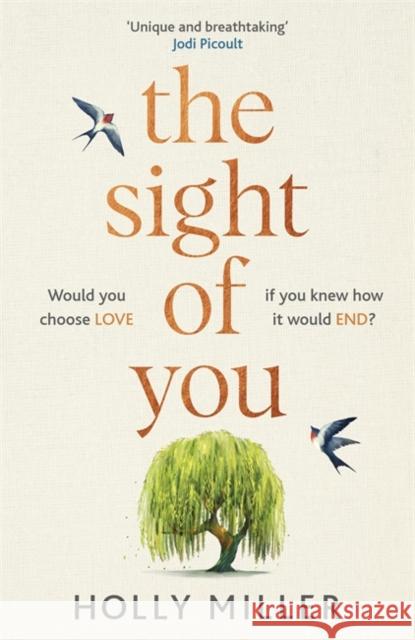 The Sight of You: An unforgettable love story and Richard & Judy Book Club pick Holly Miller 9781529324341