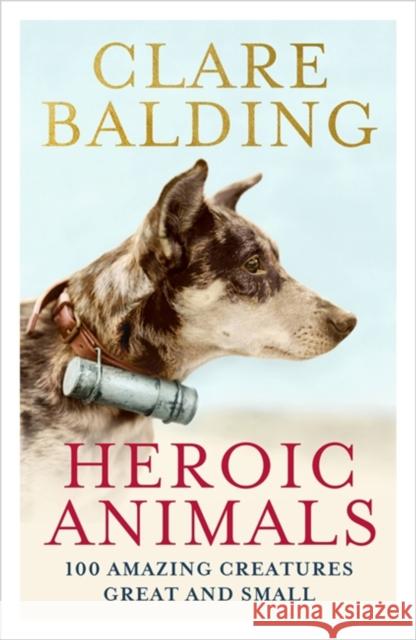 Heroic Animals: Amazing Creatures that Changed Our World Clare Balding 9781529343847 John Murray Publishers