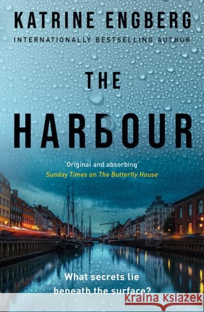 The Harbour: the gripping and twisty new crime thriller from the international bestseller for 2022 Katrine Engberg 9781529344745