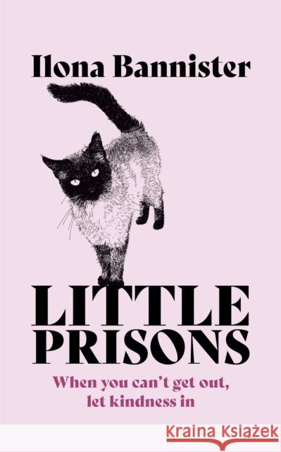 Little Prisons Ilona Bannister 9781529353907