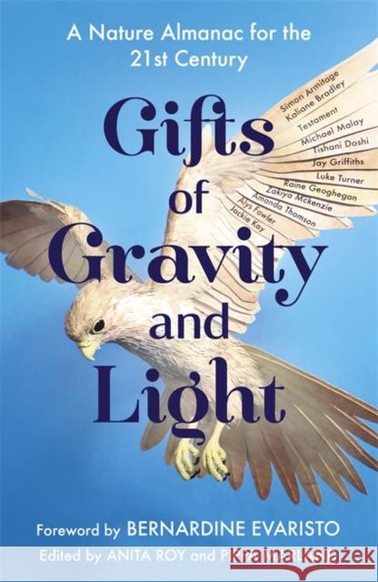 Gifts of Gravity and Light Pippa Marland 9781529363159