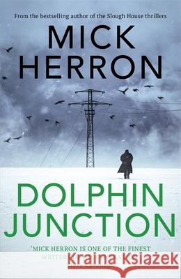 Dolphin Junction MICK HERRON 9781529371260