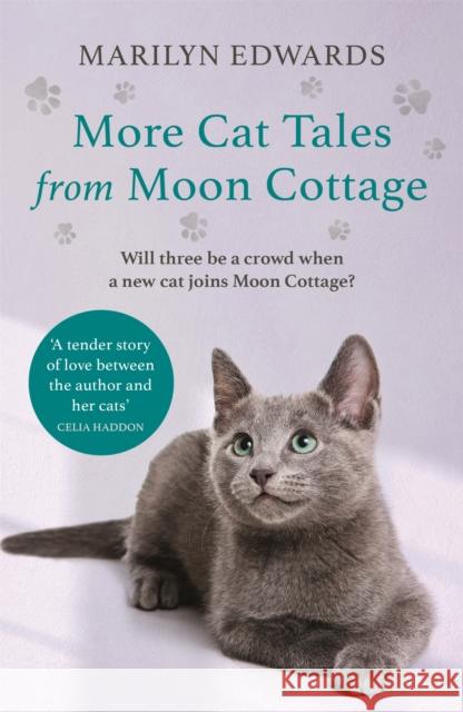 More Cat Tales From Moon Cottage Marilyn Edwards 9781529373462 Hodder & Stoughton