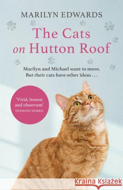 The Cats on Hutton Roof Marilyn Edwards 9781529373486 Hodder & Stoughton