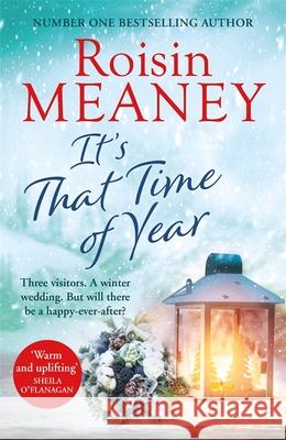 It's That Time of Year: A heartwarming festive read from the bestselling author of Life Before Us Roisin Meaney 9781529375190