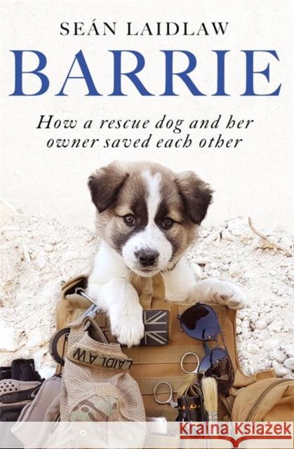 Barrie: How a rescue dog and her owner saved each other Sean Laidlaw 9781529380682 Hodder & Stoughton