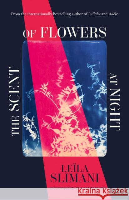 The Scent of Flowers at Night: a stunning new work of non-fiction from the bestselling author of Lullaby Leila Slimani 9781529399677