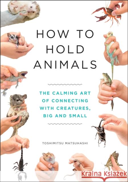 How to Hold Animals Toshimitsu Matsuhashi 9781529404531 Quercus Publishing