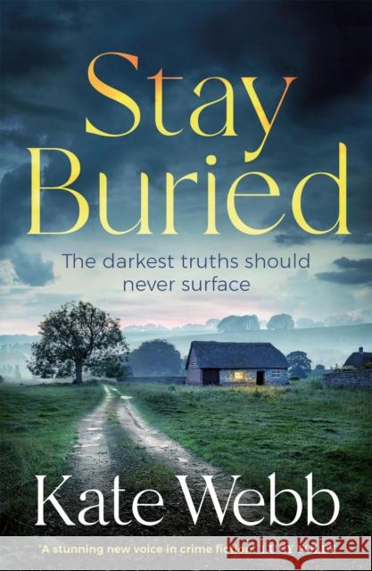 Stay Buried Kate Webb 9781529421279 Quercus Publishing