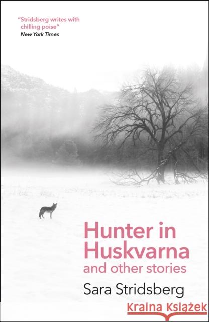 Hunter in Huskvarna Sara Stridsberg 9781529423266 Quercus Publishing