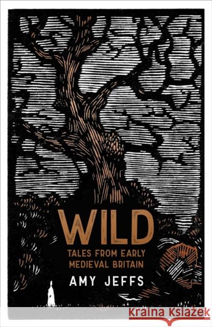 Wild: Tales from Early Medieval Britain Amy Jeffs 9781529424232 Quercus Publishing