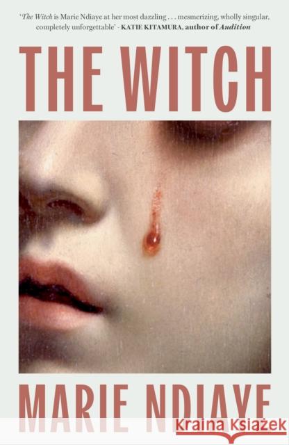 The Witch Marie NDiaye 9781529449389 Quercus Publishing