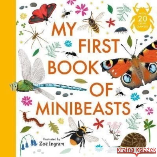 My First Book of Minibeasts ZO INGRAM 9781529501025 Walker Books Ltd