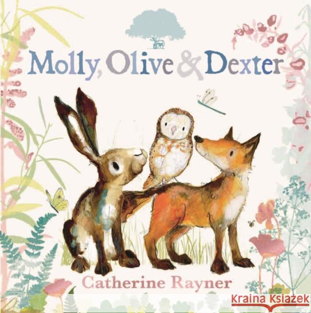 Molly, Olive and Dexter Catherine Rayner 9781529501537