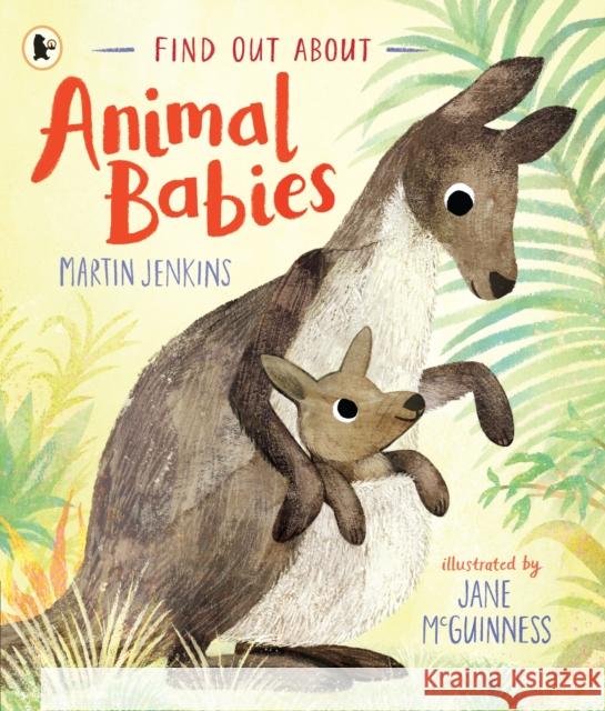 Find Out About ... Animal Babies Martin Jenkins 9781529503838