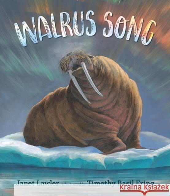 Walrus Song Janet Lawler 9781529504828