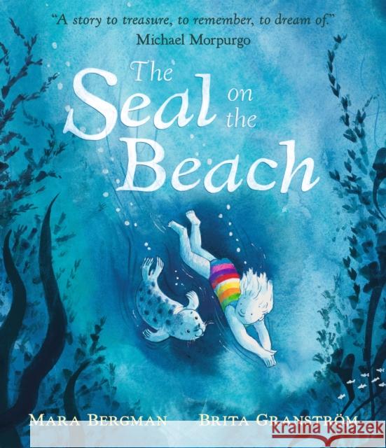 The Seal on the Beach: 