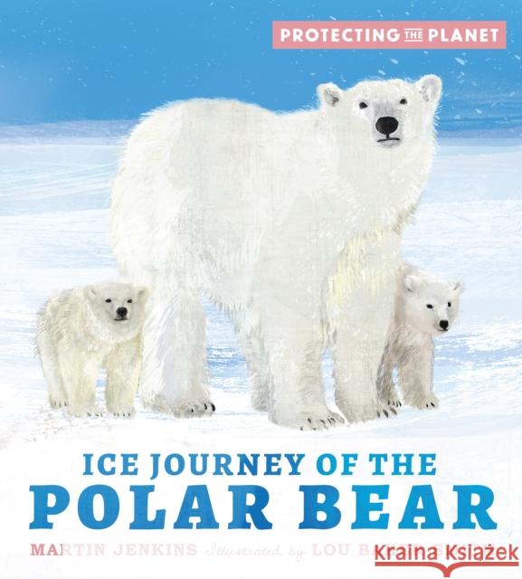 Protecting the Planet: Ice Journey of the Polar Bear Martin Jenkins 9781529505801