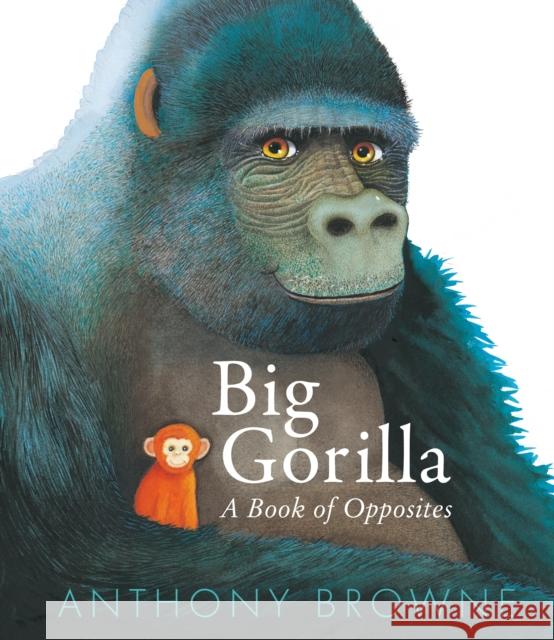 Big Gorilla: A Book of Opposites Anthony Browne 9781529509588 Walker Books Ltd