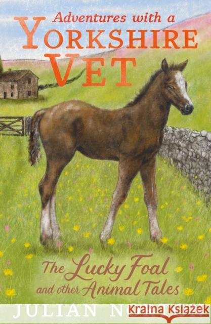 Adventures with a Yorkshire Vet: The Lucky Foal and Other Animal Tales Julian Norton 9781529509922 Walker Books Ltd