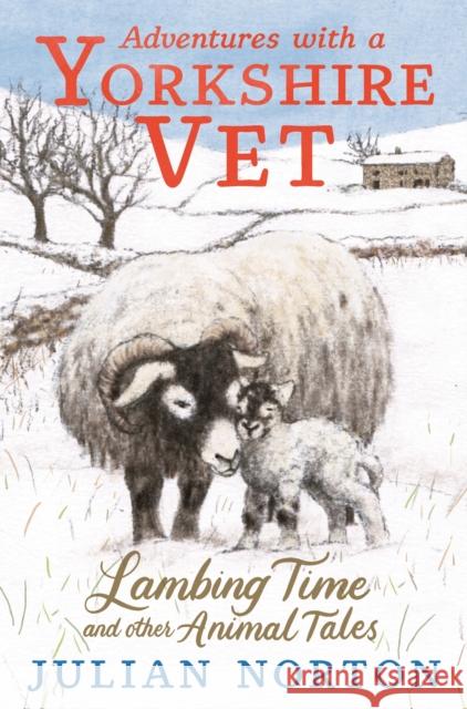 Adventures with a Yorkshire Vet: Lambing Time and Other Animal Tales: Snowy animal stories, the perfect Christmas present for 8–11 readers Julian Norton 9781529509984 Walker Books Ltd