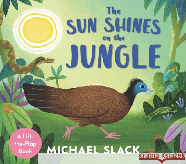 The Sun Shines on the Jungle Michael Slack 9781529510881 Walker Books Ltd