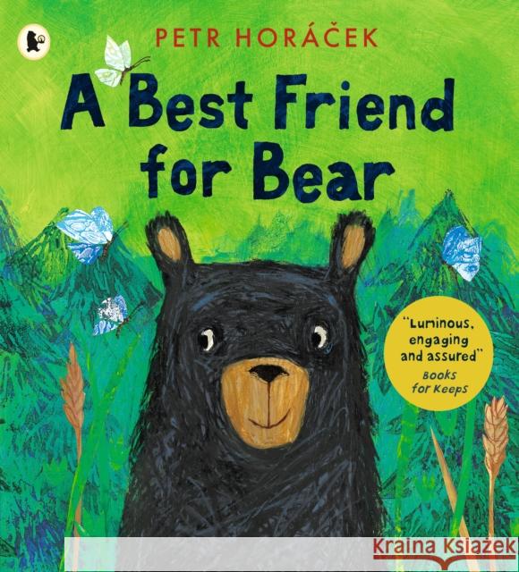 A Best Friend for Bear Petr Horacek 9781529512557