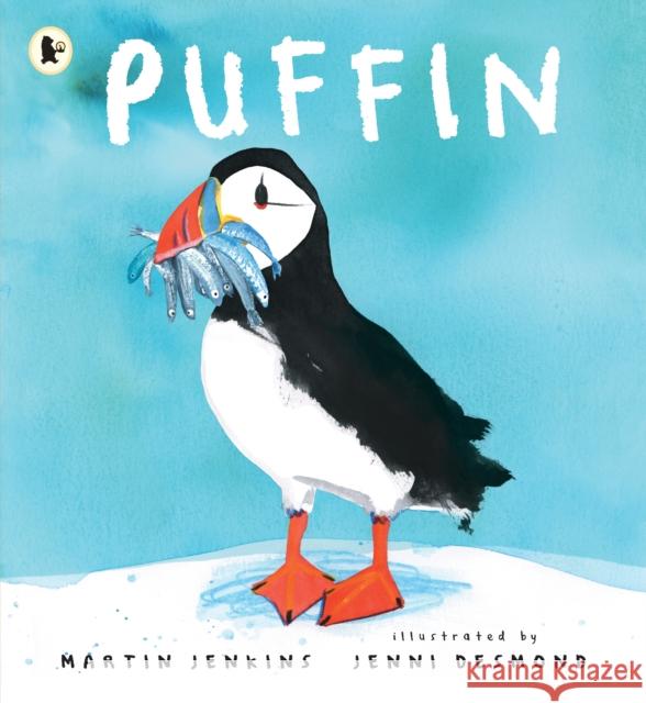 Puffin Martin Jenkins 9781529513639