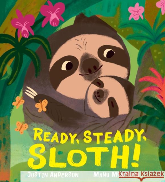 Ready, Steady, Sloth! Justin Anderson 9781529516296