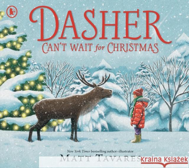 Dasher Can't Wait for Christmas Matt Tavares 9781529517170