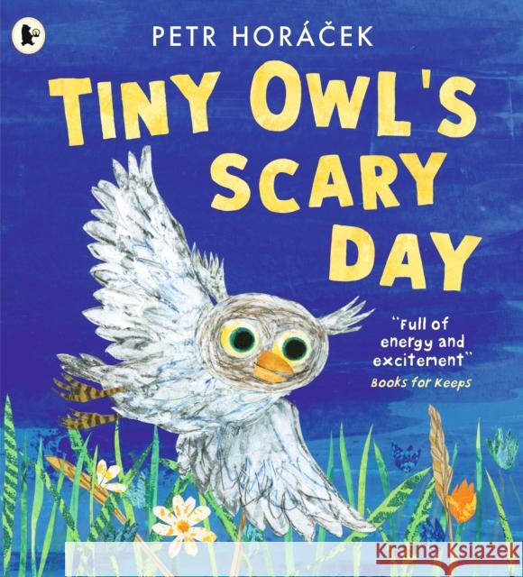 Tiny Owl's Scary Day Petr Horacek 9781529517194