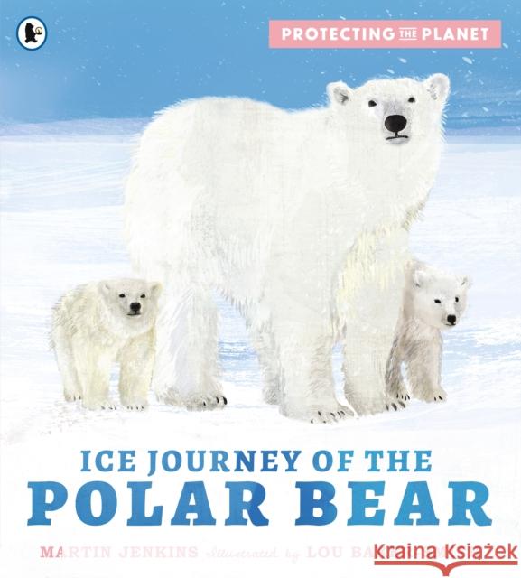 Protecting the Planet: Ice Journey of the Polar Bear Martin Jenkins 9781529517200