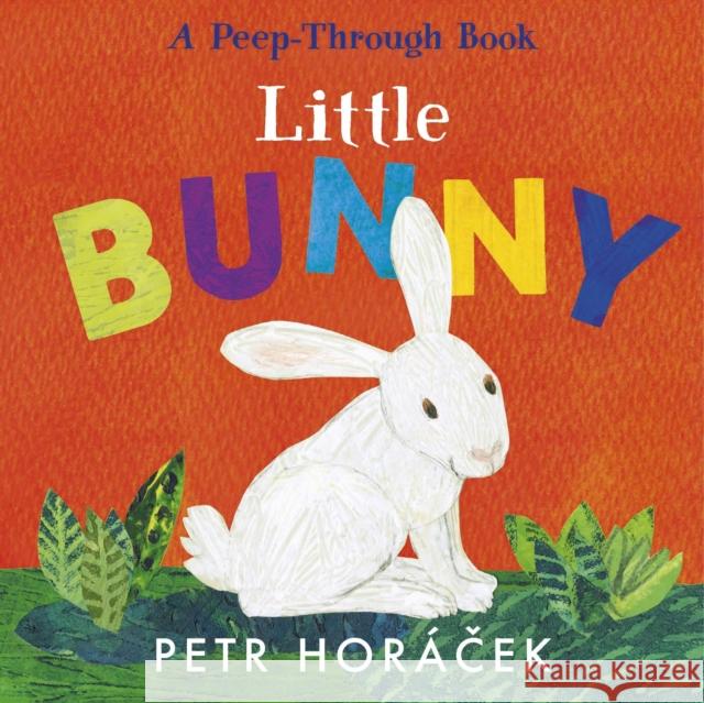 Little Bunny Petr Horacek 9781529517354