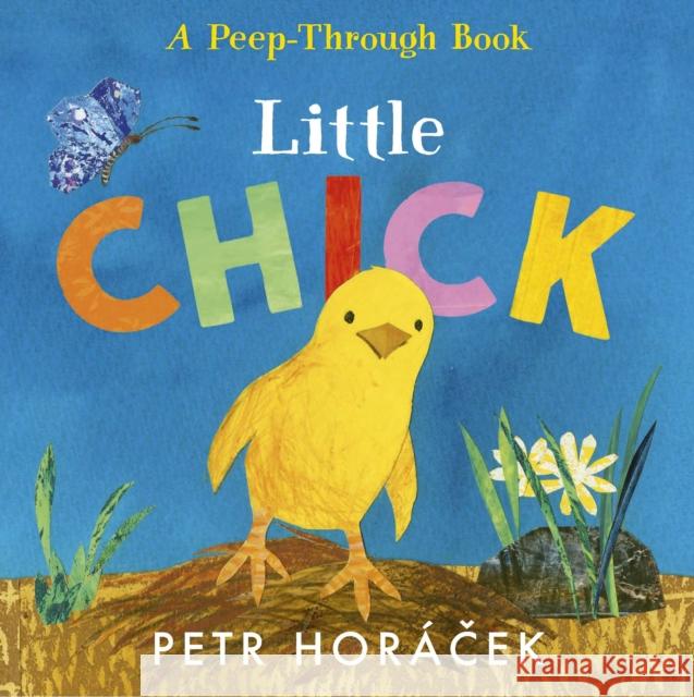 Little Chick Petr Horacek 9781529517361