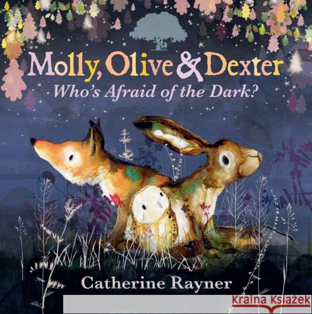 Molly, Olive and Dexter: Who's Afraid of the Dark? Catherine Rayner 9781529517644 Walker Books Ltd