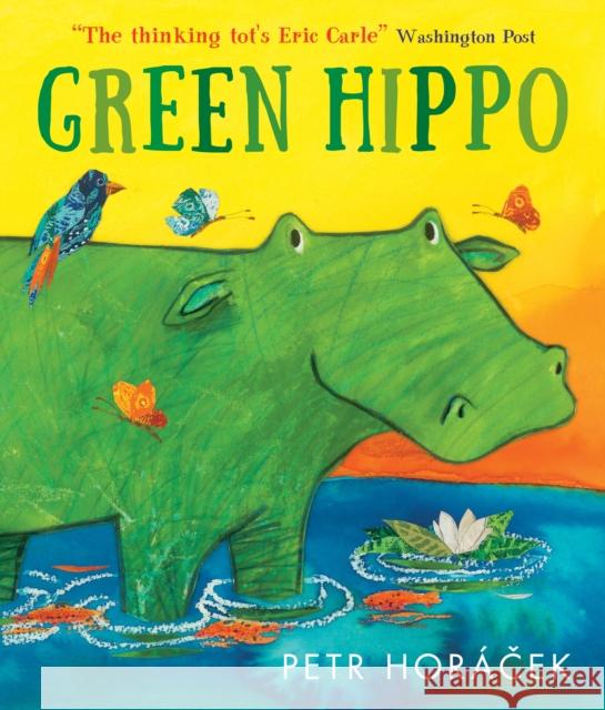 Green Hippo Petr Horacek 9781529522457 Walker Books Ltd