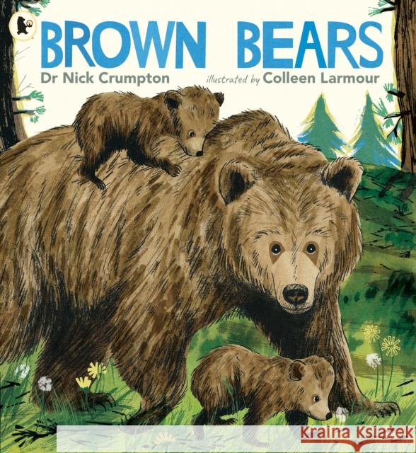 Brown Bears Dr. Nick Crumpton 9781529523720 Walker Books Ltd