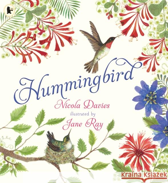 Hummingbird Nicola Davies 9781529523874 Walker Books Ltd