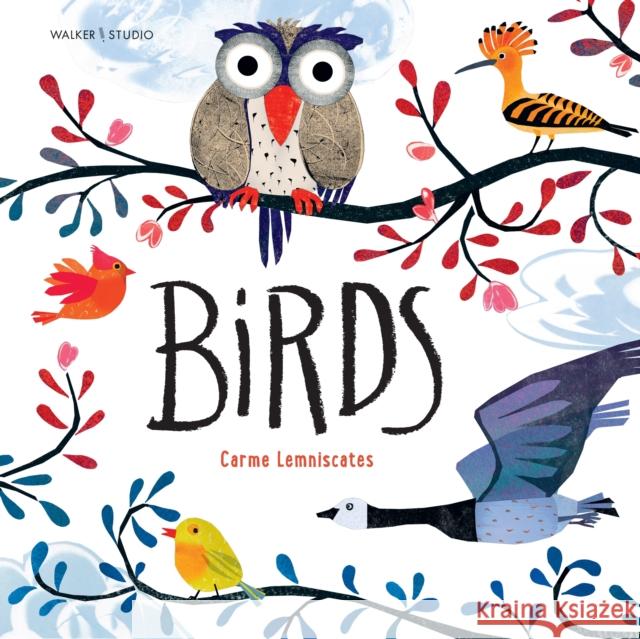 Birds Carme Lemniscates 9781529524284 Walker Books Ltd