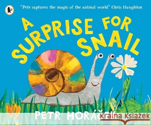 A Surprise for Snail Petr Horacek 9781529525502