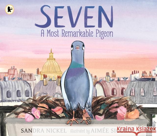 Seven: A Most Remarkable Pigeon Sandra Nickel 9781529527339