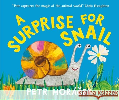 A Surprise for Snail Petr Horacek 9781529531831