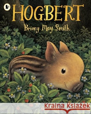 Hogbert Briony May Smith 9781529535792 Walker Books Ltd