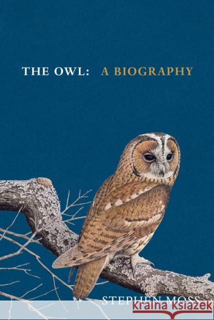 The Owl: A Biography Stephen Moss 9781529908268 Vintage Publishing