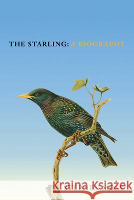 The Starling: A Biography Stephen Moss 9781529908282 Vintage Publishing