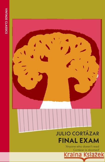 Final Exam Julio Cortazar 9781529956757
