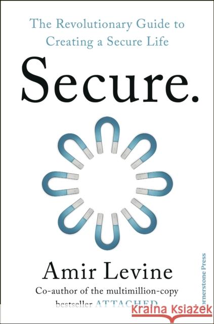 Secure: The Revolutionary Guide to Creating a Secure Life Levine, Amir 9781529976175