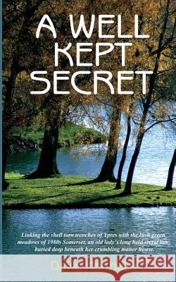 A Well Kept Secret David Hermelin 9781530078561