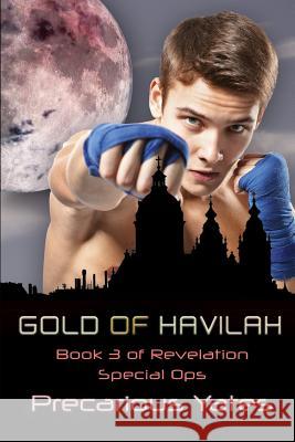 Gold of Havilah Precarious Yates 9781530085637 Createspace Independent Publishing Platform