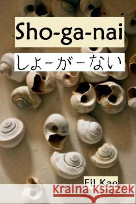 Sho-Ga-NAI: A Time in America When the Music Stopped Fil Ka 9781530125791 Createspace Independent Publishing Platform